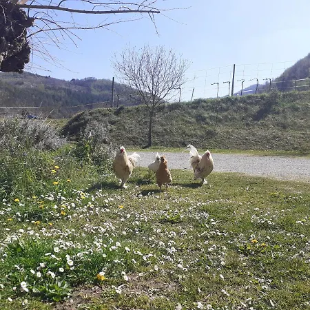 مزرعة للإقامة Campo Rosso Civitella di Romagna