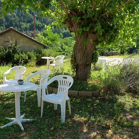 Campo Rosso 팜스테이 Civitella di Romagna