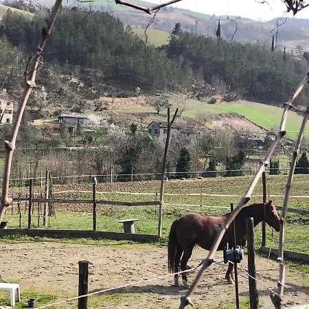 Campo Rosso *