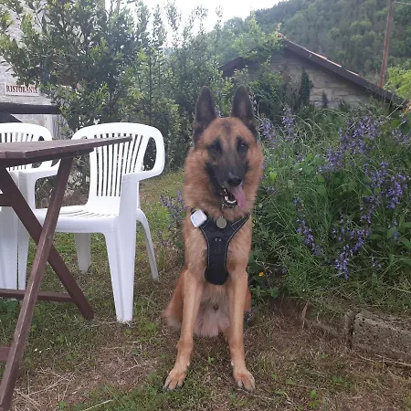 ファームステイ Campo Rosso