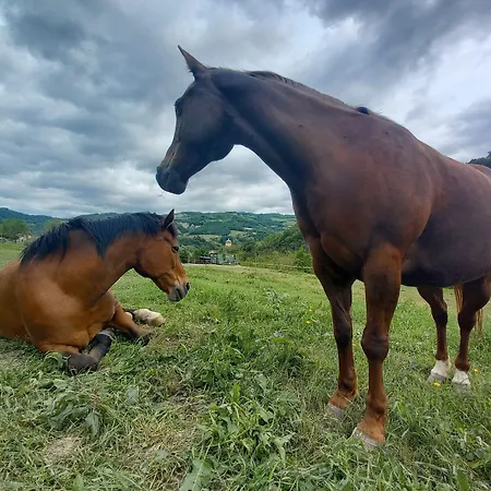 Campo Rosso Alloggio per agriturismo *