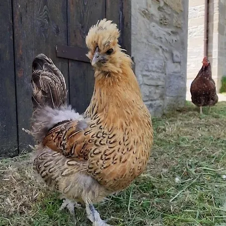Alojamento de Turismo Rural Campo Rosso