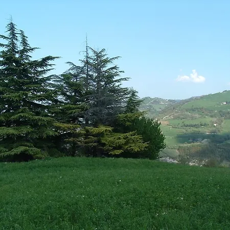 Campo Rosso