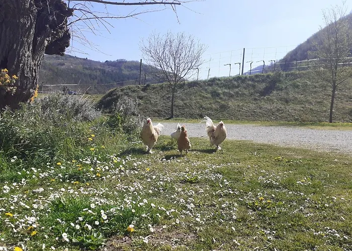 Lantgård Campo Rosso Civitella di Romagna