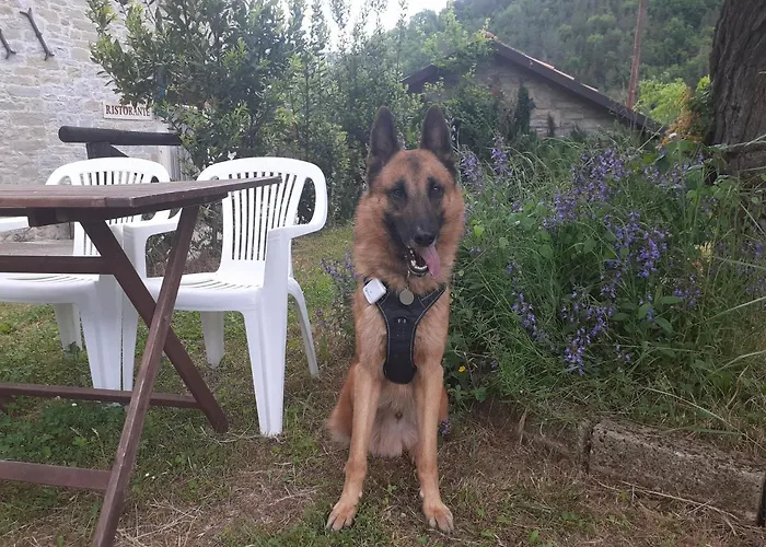 Κατάλυμα σε φάρμα Campo Rosso