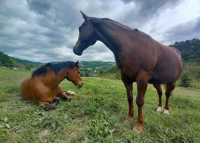 Campo Rosso Lantgård *