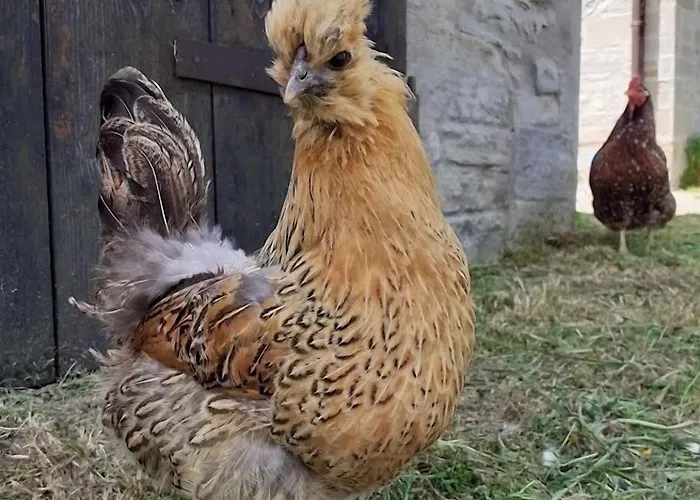 Κατάλυμα σε φάρμα Campo Rosso