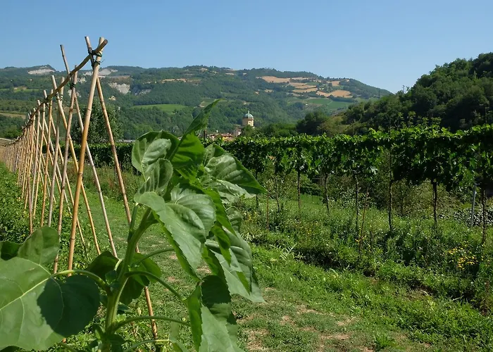 Lantgård Campo Rosso *
