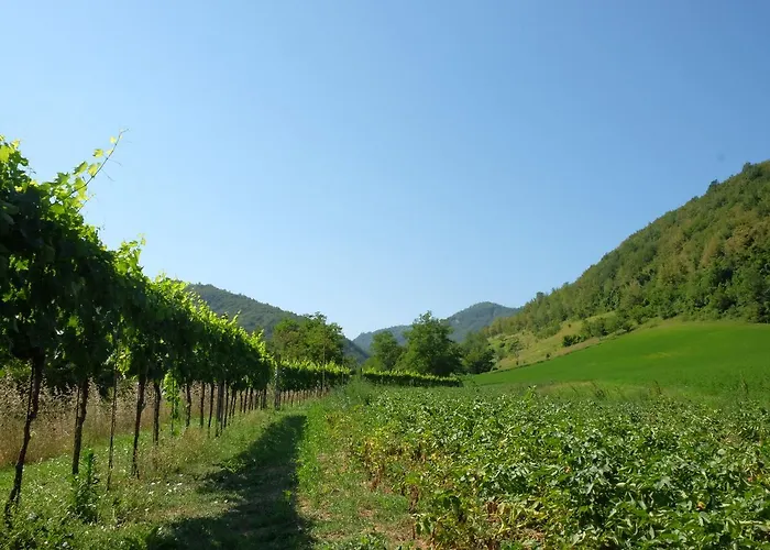 Κατάλυμα σε φάρμα Campo Rosso *